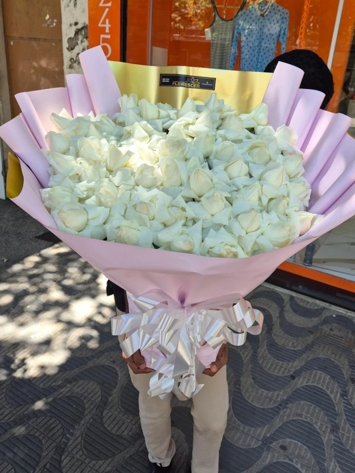 Publicação oficial da Floricultura Florescer