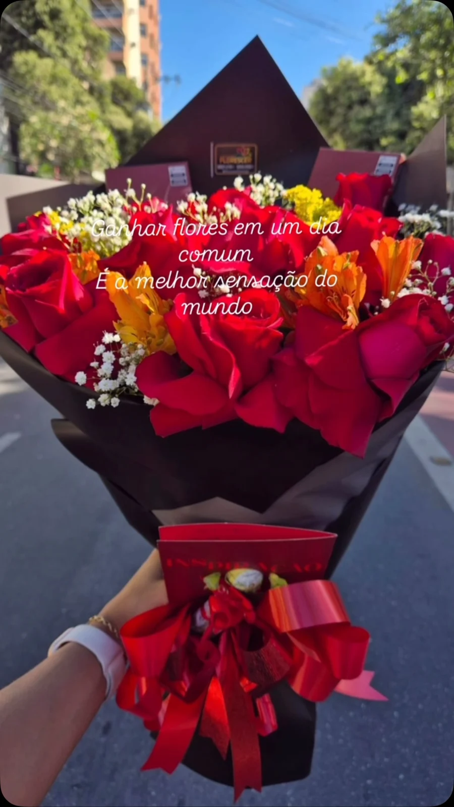 Publicação oficial da Floricultura Florescer